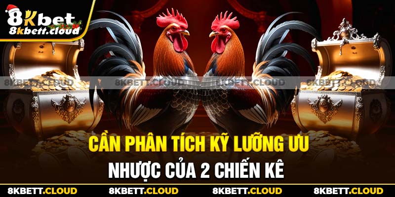 Cần phân tích kỹ lưỡng ưu, nhược của 2 chiến kê