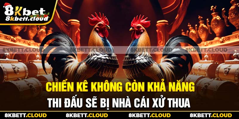 Chiến kê không còn khả năng thi đấu sẽ bị nhà cái xử thua