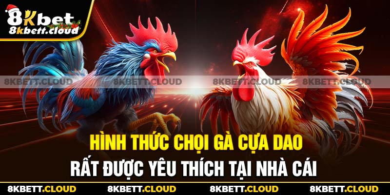 Đá gà Thomo kinh điển diễn ra tại sân chơi đẳng cấp