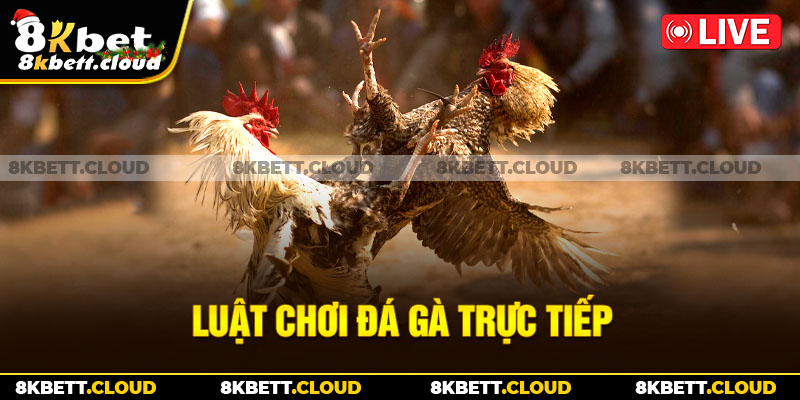 Luật chơi đá gà trực tiếp 